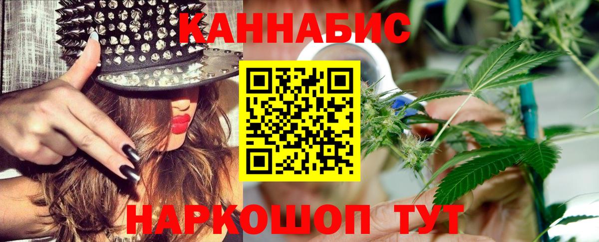 Канабис конопля Краснодар